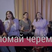 Не Ламай Черемуху У Реки