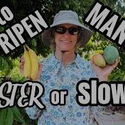 Speed Up Mango