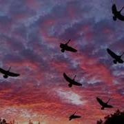 Як Важко На Серці Буває Порою Скачати Пісню