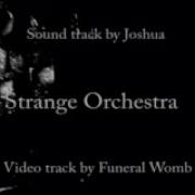 Pl Bombay Dub Orchestra Strange Constellations