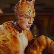 Macavity Taylor Swift
