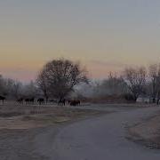 Ауылдың Айхай Көшесі
