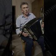 Кисти Рябины Горят Как Рубины