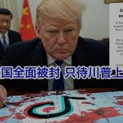 悉尼奶爸 抖音美国