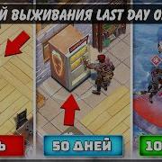 Сышиш Тут Это