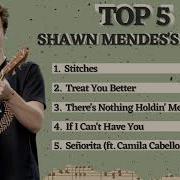 Best Of Shawn Mendes
