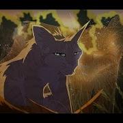 Коты Воители Ангел