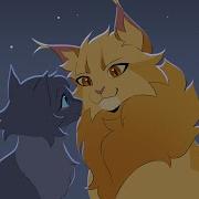 Like I Like You Lionblaze Cinderheart Pmv
