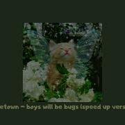 Boys Will Be Bugs Speed Up
