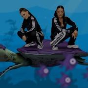 Little Sis Nora Hardstyle Fish