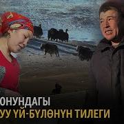 Жаайдын Бир Гана Тоолу Кар