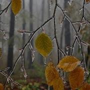 И Нисколько Мы С Тобой Не Постарели Алла Иошпе