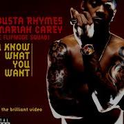 Busta Rhymes I Know What You Want Instrumental