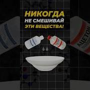 Состав Вещей Шортс