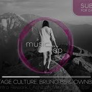 Vintage Culture Intro Rework Ashibah Miracle Vox Edit
