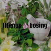 Dalachoy Ning Foydali Xususiyatlari Далачой Нинг Фойдали Хусусиятлари