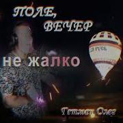 Поле Вечер Олег Гетман