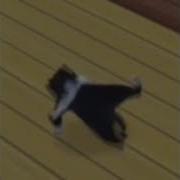 Caramelldansen X Шо Ты Лысый