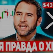 Биржевая Торговля