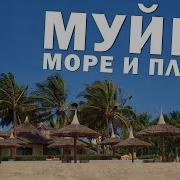 Муйне 2023