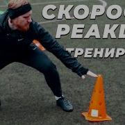 Как Развить Скорость Реакции