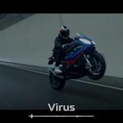Hayit Murat Bones Virus