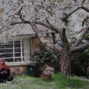 Deva Premal The Gayatri Mantra Around The World