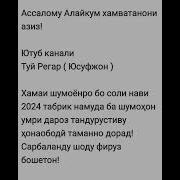 Табрикоти Солинави