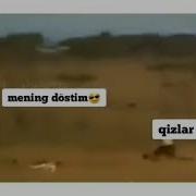 Xozirgi Qizlar