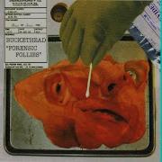 Forensic Folies Buckethead