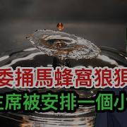 中紀委捅馬蜂窩狼狽後撤 美國總統 副總統罕見充當戰術誘導 習主席被安排了一個小角色