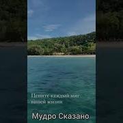 Цените Каждый Миг Вашей Жизни