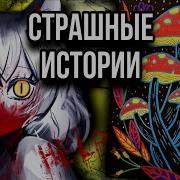 Яромира И Владимир