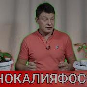 Удастся Ба Даст Шид