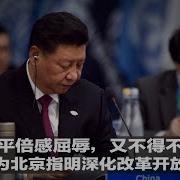 美国文革明镜