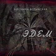 Вероника Волынская Рассказы