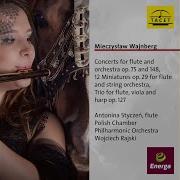Flute Concerto No 2 Op 148 I Allegro