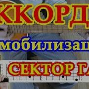 Демобилизация Сектор Газа На Гитаре