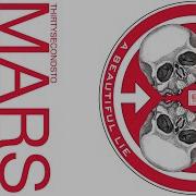 30 Seconds To Mars Revolve