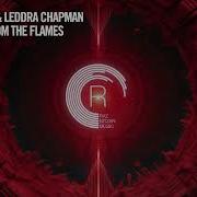 Phoenix From The Flames Raz Nitzan Leddra Chapman