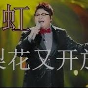 梨花又开放