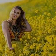 Володимир Сірант Краса Карпат