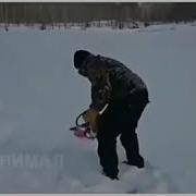 Шайтан Машина Прикол