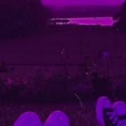 Типичная Вечеринка С Бассейном Slowed