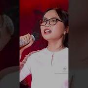 백칸송이