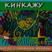 Кинкажу Дядюшка Филин