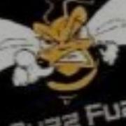 Buzz Fuzz Sucker Dj