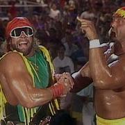 The Mega Powers Vs