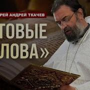 Ткачев Мы Ничего Не Видим