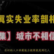 真实失业率剖析